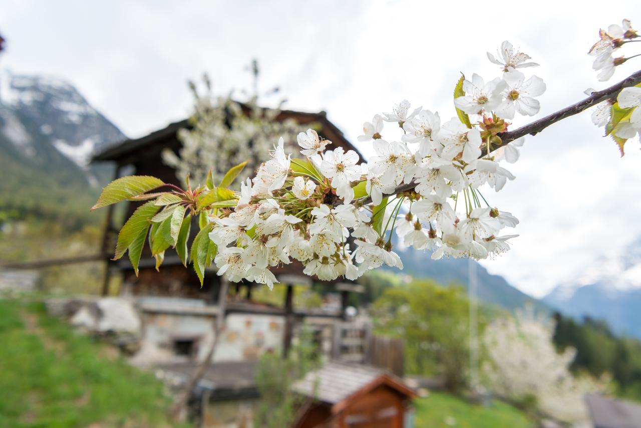 Korn-Stadel Arida Prata "Natur Pur" เกรเชิน ภายนอก รูปภาพ